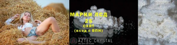 крисы Алзамай