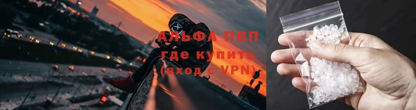 крисы Алзамай