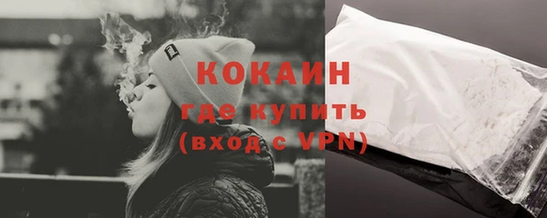 молекула духа Алексин