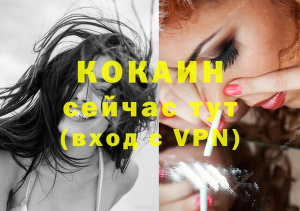 молекула духа Алексин