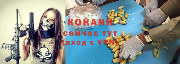 крисы Алзамай
