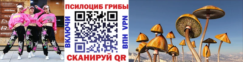 хочу   Томмот  Галлюциногенные грибы мухоморы 