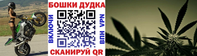 Шишки марихуана Bruce Banner Томмот